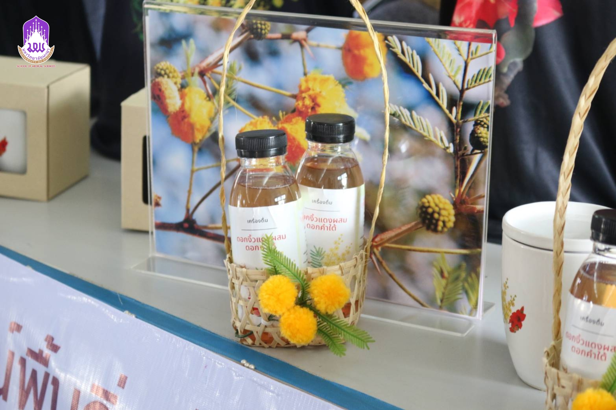 Reinventing University Medsci 5.jpg